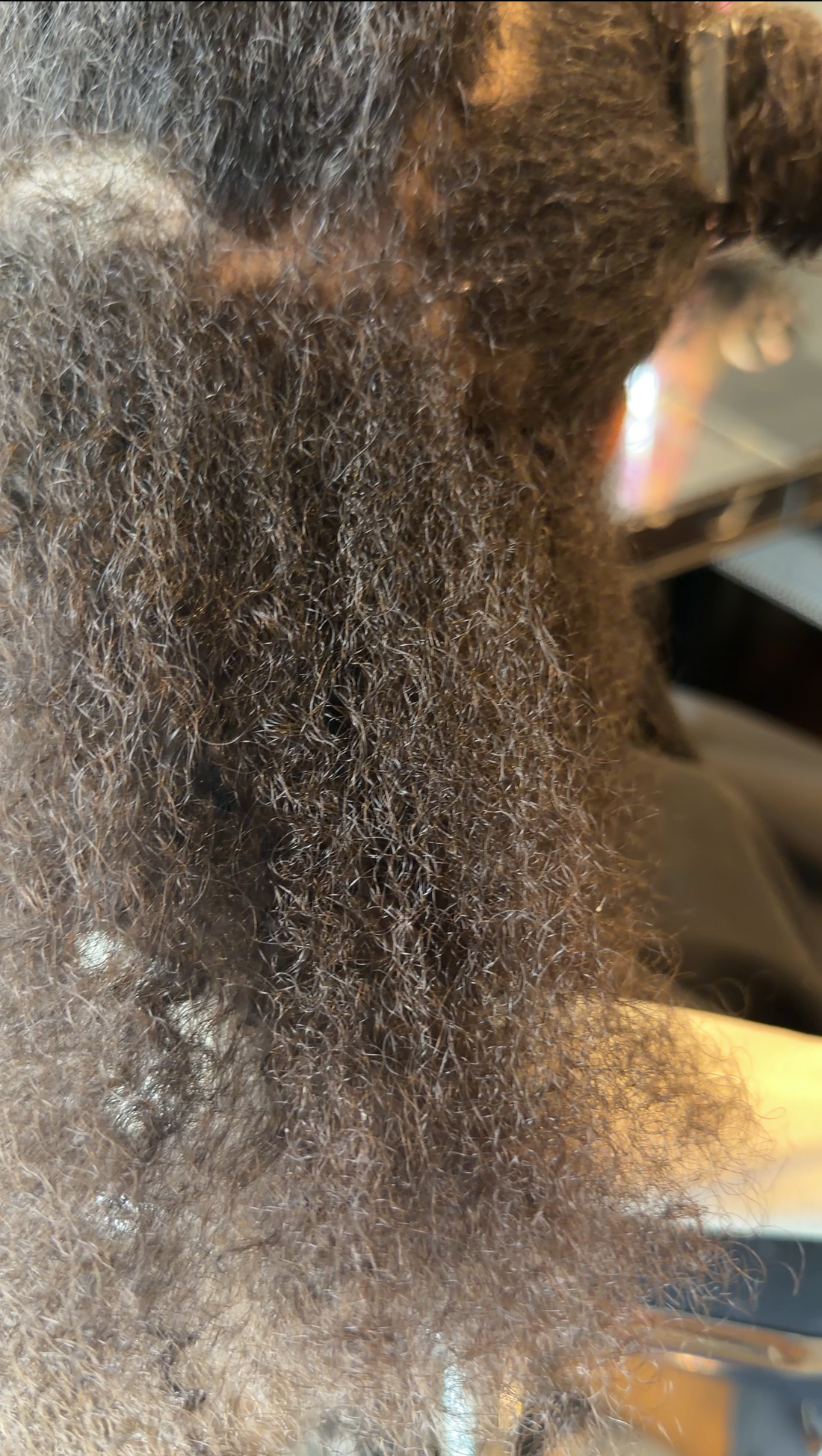 Detangling Natural Hair: Simple Routine for Soft, Manageable Curls