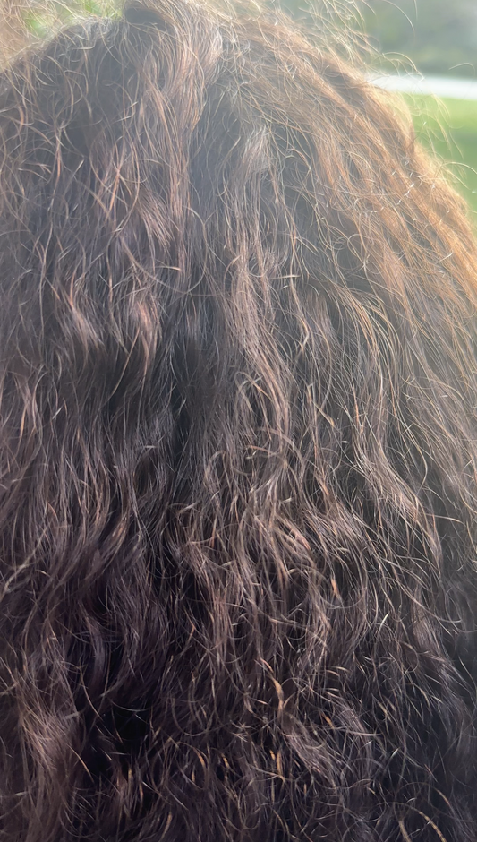 Wet vs Dry Detangling Curly Hair
